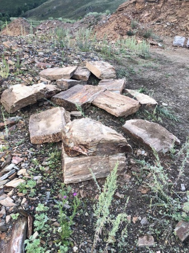 Плитняк кора дерева 50-100мм для пошаговых дорожек купить в Элисте